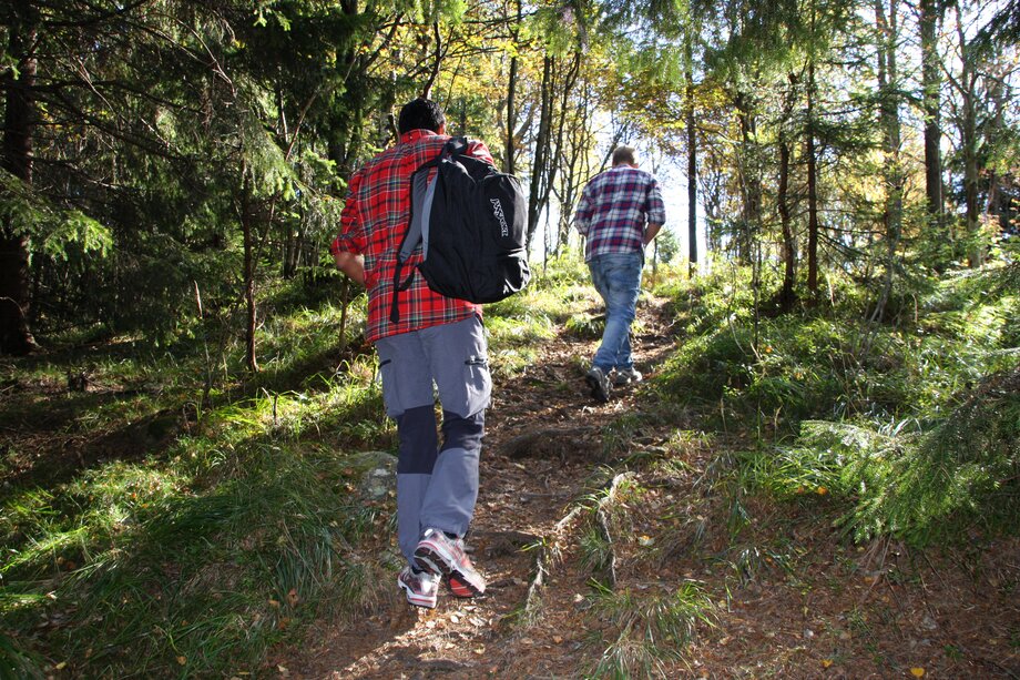 urter, Grefsenkollen