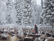 Reingjeting på Helgeland. NB: BRUKSRETT BETALT TOM FEBRUAR 2025