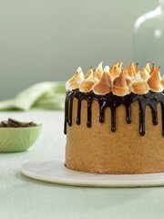 Sjokoladekake med kjekskrem