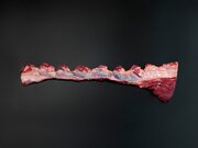 Dragebiff